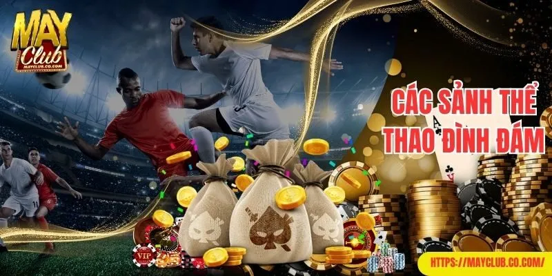 Các sảnh thể thao đình đám của nhà cái Mayclub